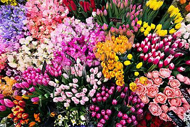 Win12至少被推迟一年 微软公布了Win 11 25H2